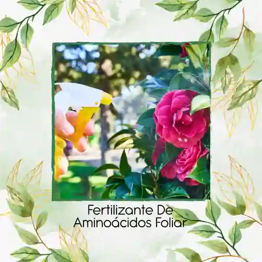 Fertilizante De Aminoácidos Foliar X 500 Ml