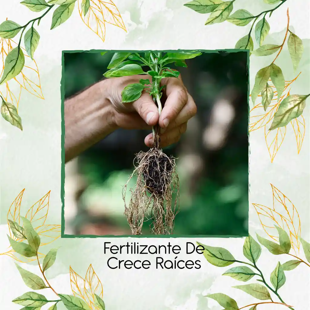 Fertilizante De Crece Raíces X 30 Ml