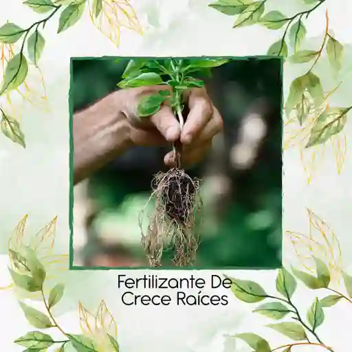 Fertilizante De Crece Raíces X 500 Ml