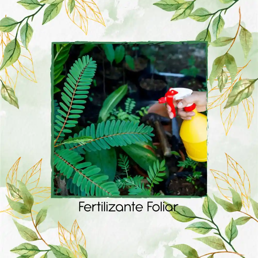 Fertilizante Foliar X 60 Ml