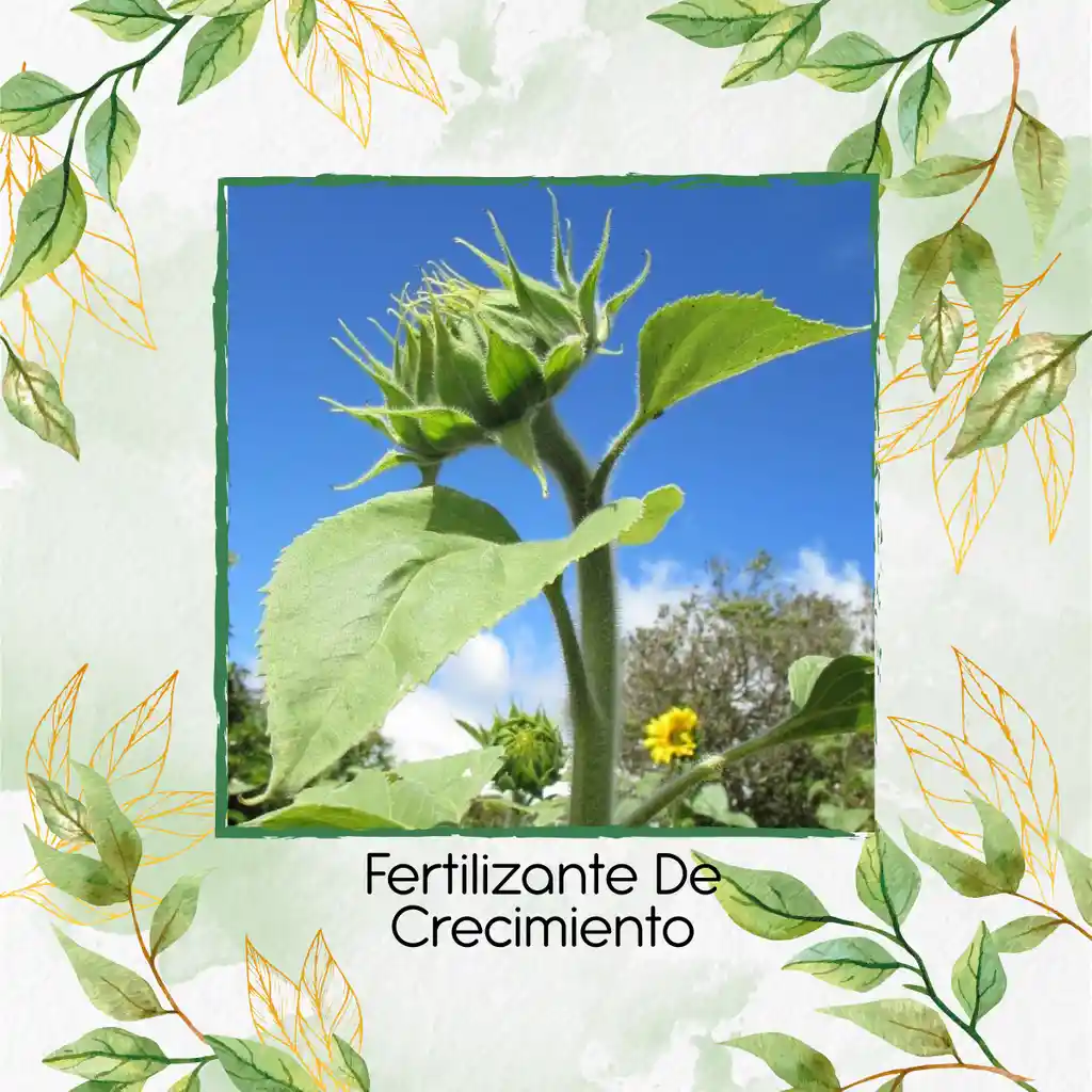 Fertilizante De Crecimiento X 120 Ml