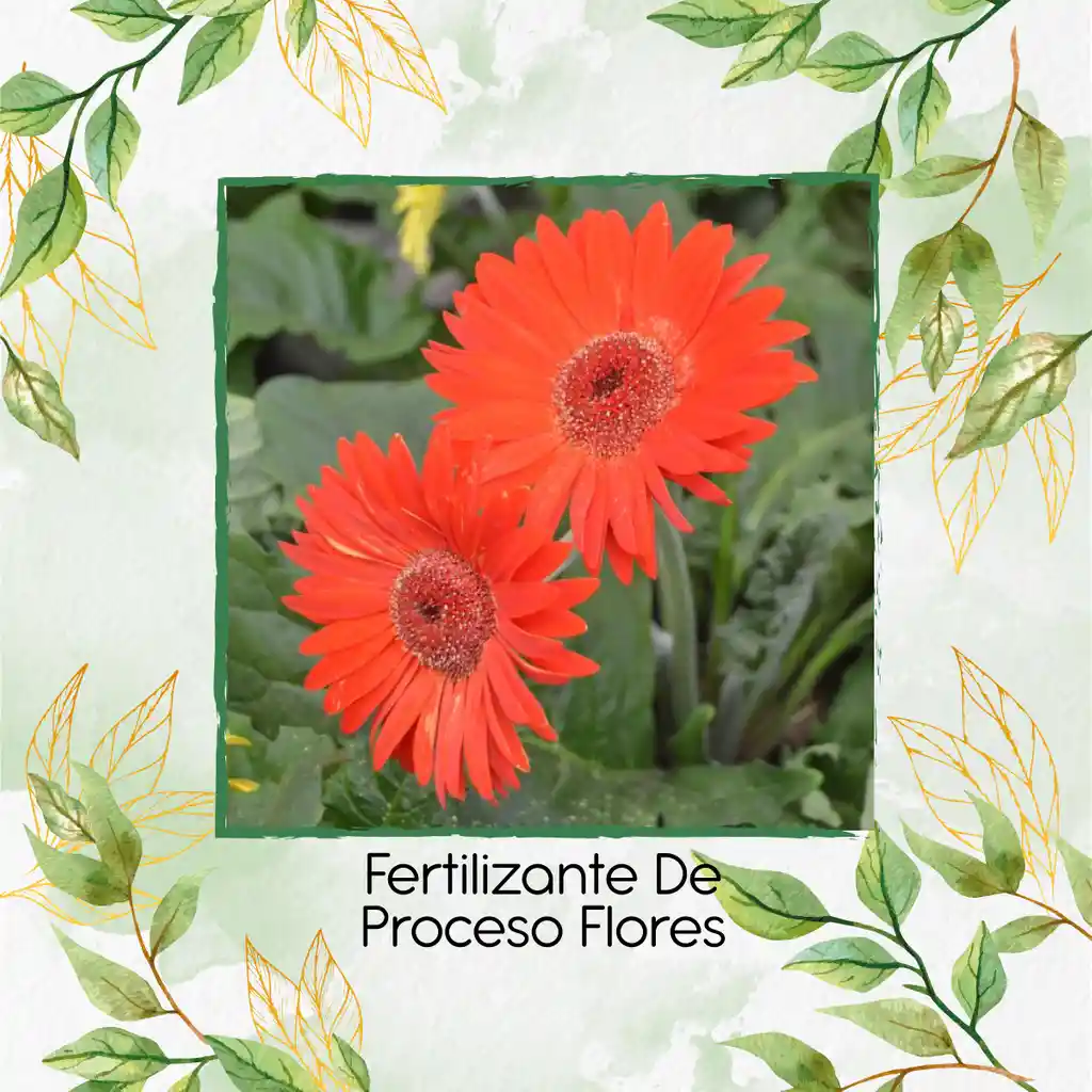 Fertilizante De Proceso Flores X 30 Ml