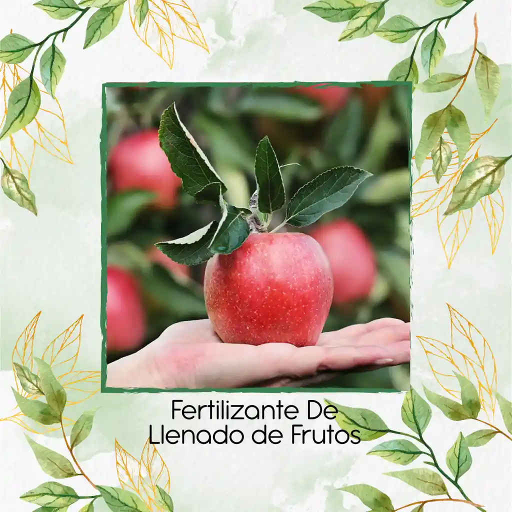 Fertilizante De Llenado De Frutos X 60 Ml