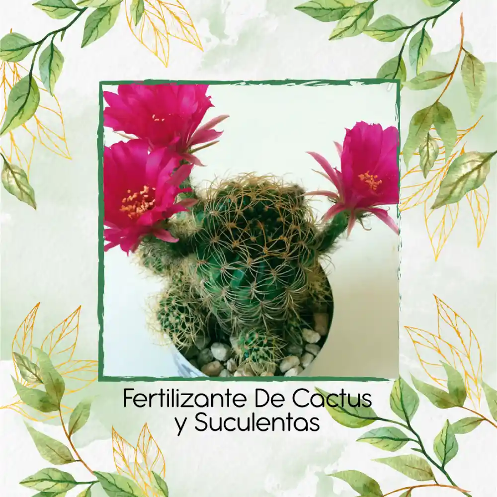 Fertilizante De Cactus Y Suculentas X 120 Ml