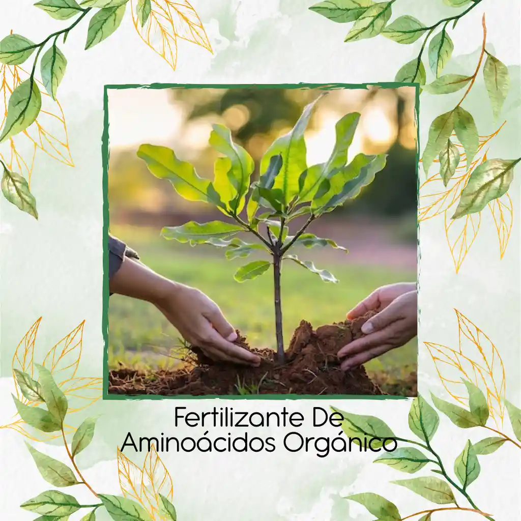 Fertilizante De Aminoácidos Orgánico X 60 Ml