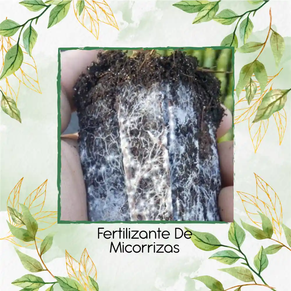 Fertilizante De Micorrizas X 120 Ml