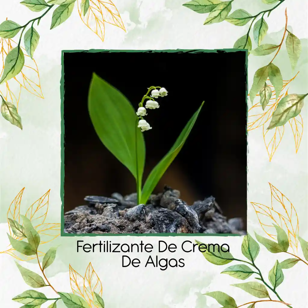 Fertilizante De Crema De Algas X 120 Ml