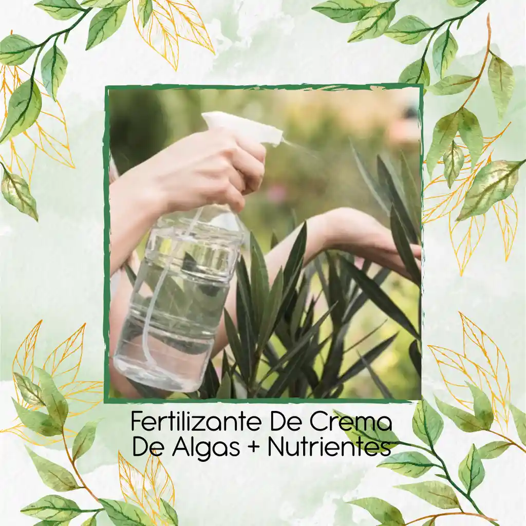 Fertilizante De Crema De Algas + Nutrientes Menores X 60 Ml