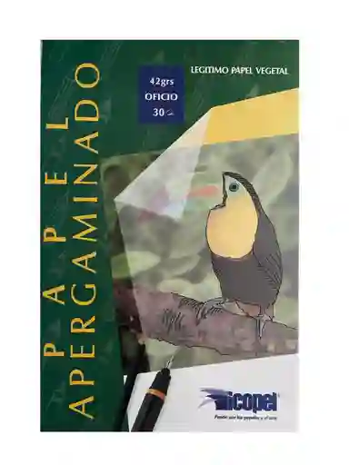 Block Apergaminado 42 Gramos Icopel -pergamino