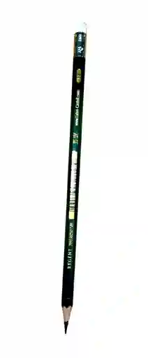 Lapiz Faber Castell Dibujo 9000- 5b