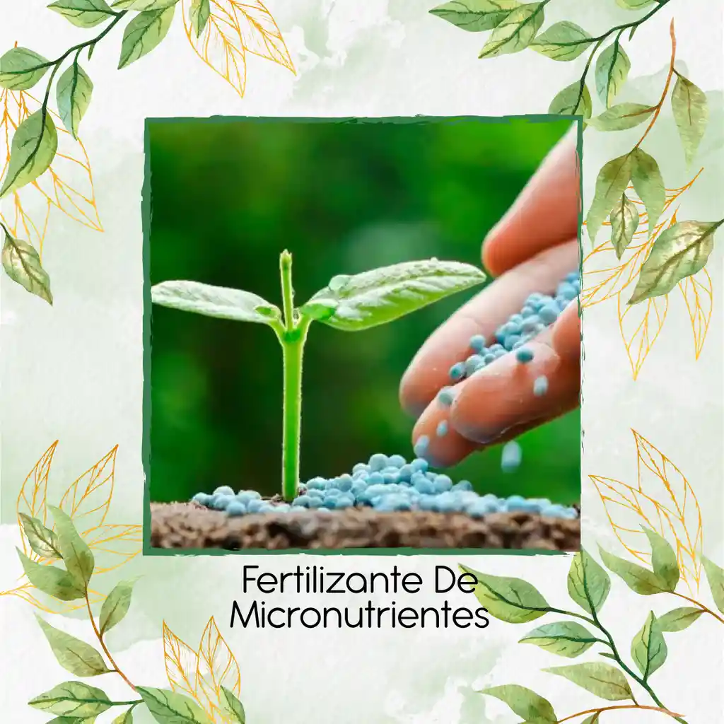 Fertilizante De Micronutrientes X 1 Kl