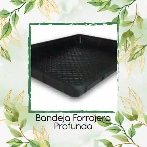 Bandeja Forrajera Profunda