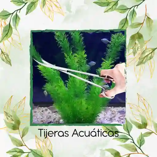 Tijeras De Poda Para Plantas Acuáticas