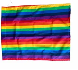 Bandera Lgbt Orgullo Gay Arco Iris Marcha Pride Estampada 1a