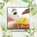 Humimometro, Medidor De Humedad