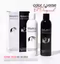 Kit Color Reverse (removedor De Color) Salerm