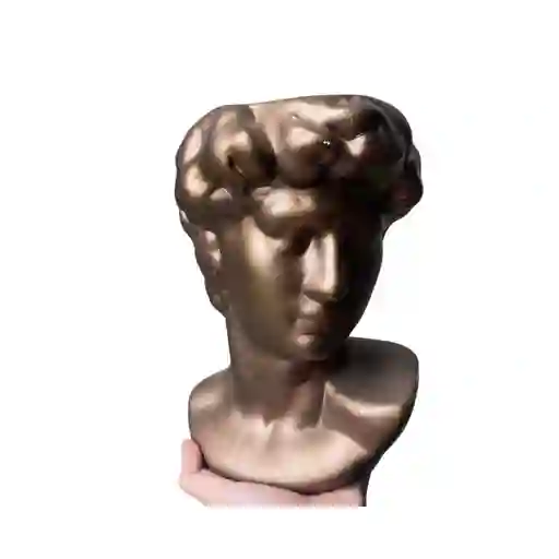 Maceta De Busto De La Cabeza De Yeso