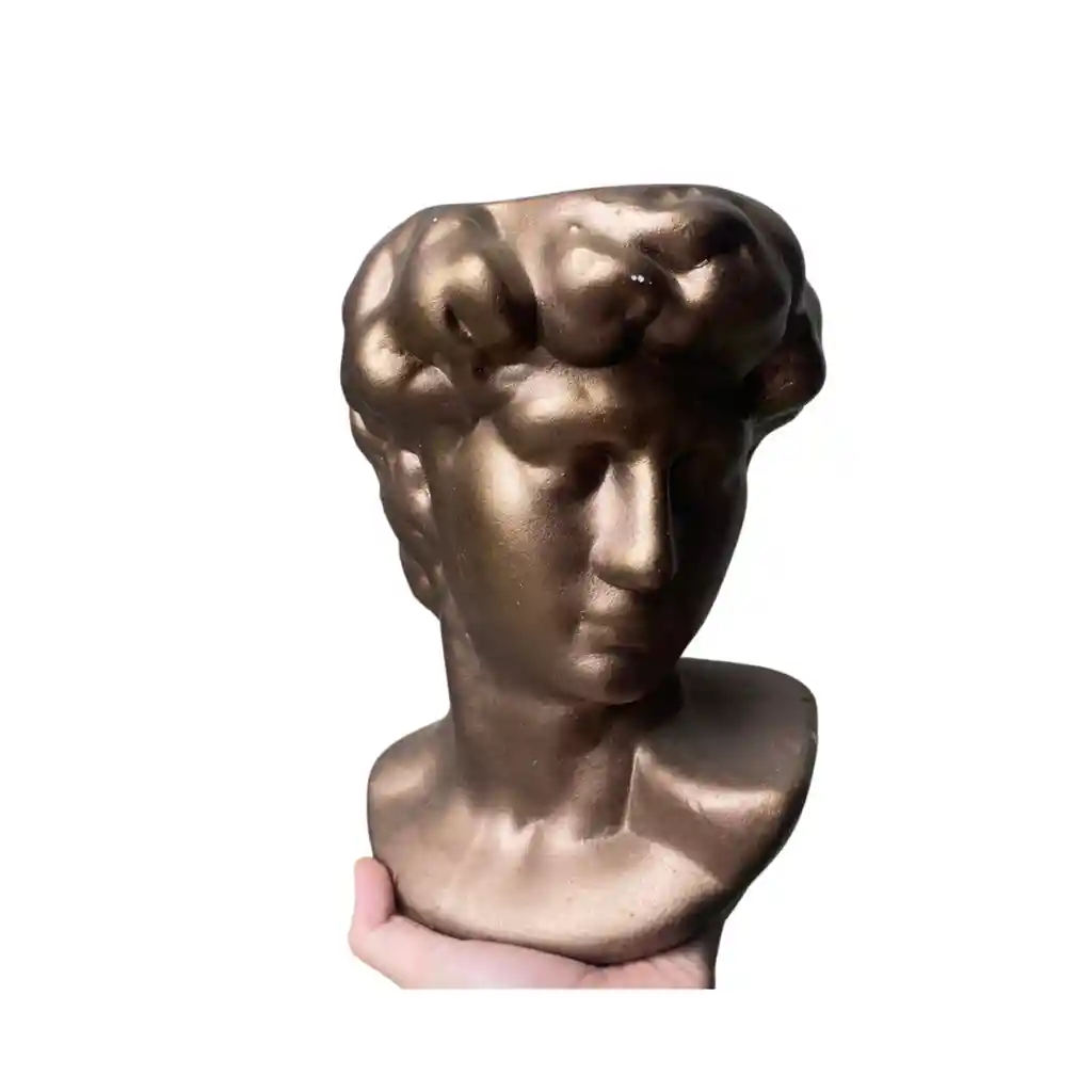 Maceta De Busto De La Cabeza De Yeso