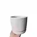 Maceta De Cerámica Pequeña