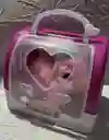 Conejo Mecanico + Canasta Juguetes Para Niñas