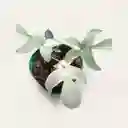 Filodendron Florida Ghost