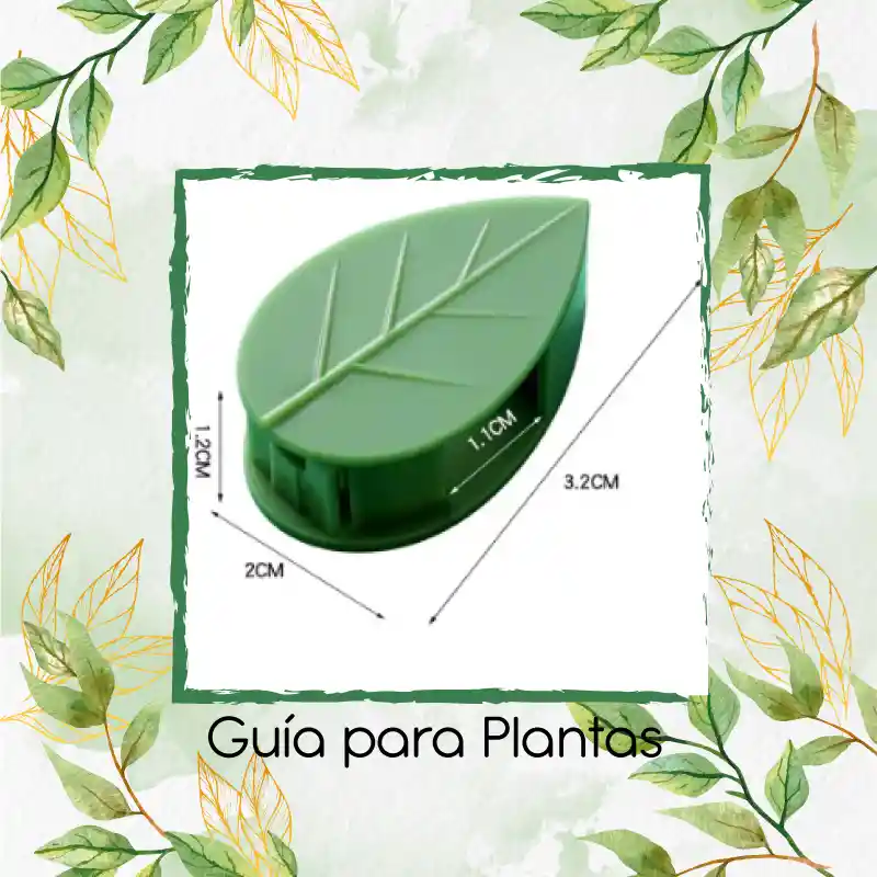 Guía Para Plantas Trepadoras