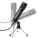Micrófono Steren Usb Profesional De Condensador