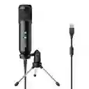 Micrófono Steren Usb Profesional De Condensador
