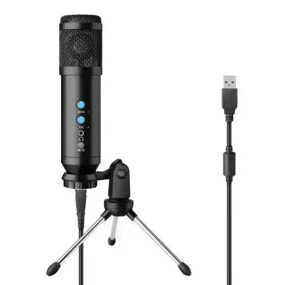 Micrófono Steren Usb Profesional De Condensador