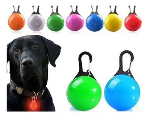 Colgante Led Generico Para Perros Luz Nocturna Collar