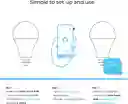 Bombillo Inteligente Wifi Globe Led Rgb Rgbcw Solo Alexa
