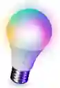 Bombillo Inteligente Wifi Globe Led Rgb Rgbcw Solo Alexa