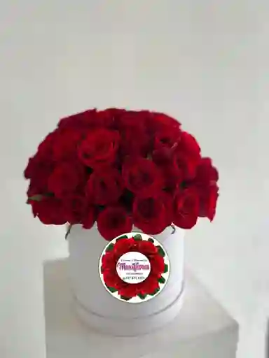 Caja Blanca Redonda Con Rosas Rojas