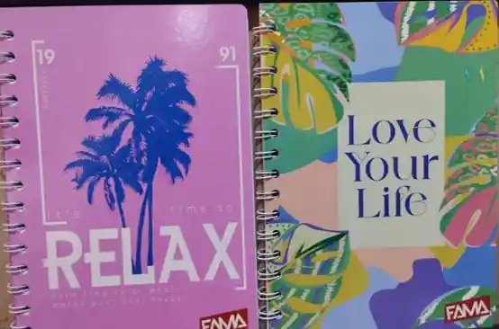 Cuaderno Argollado Fama 85 Cuadros Pequeno Niña