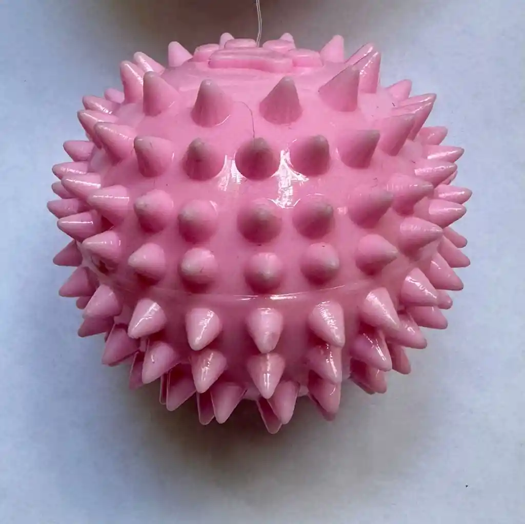 Pelota Erizo