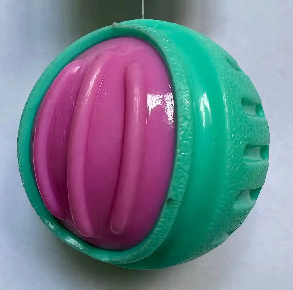 Pelota Coral
