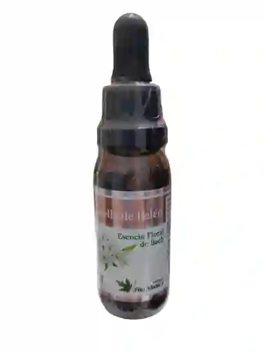 Esencia Floral Estrella De Belen X 25 Ml Fito