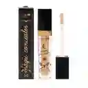 Corrector Profesional Trendy Magic Grande 14g Tono 01