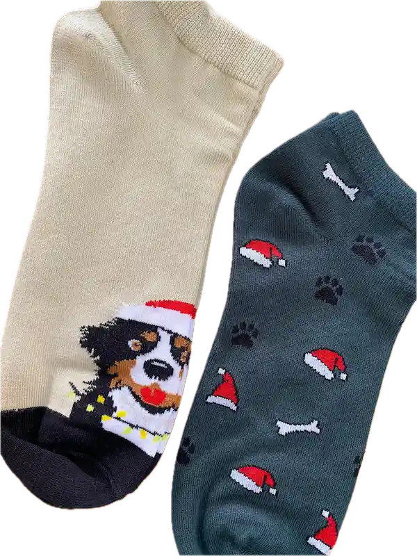 Set De Medias Navideñas Perritos Bernés Y Huellas