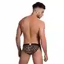 Brieff Wild Guy Pandora
