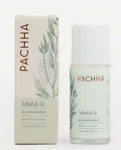 Desodorante Natural Rollon Pachha Arbol De Te