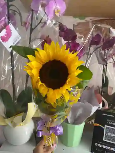 Girasol De Flores Y Rosas