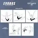 Estimulador De Prostata Evorus Optimus Pro