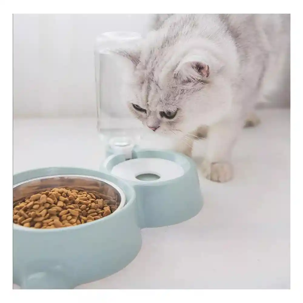 Plato Doble Acero Inoxidable Para Gato Con Dispensador De Agua