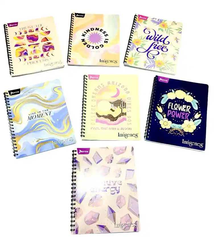 Cuaderno Argollado 80 Hojas Rayado Norma Diseños Surtidos Mujer Pasta Blanda Grande