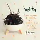 Plantas Para Abundancia