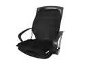 Cojin Silla Espaldar Soporte Lumbar Conductor Carro Camion