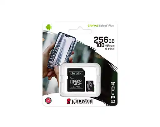 Memoria Micro Sd 256 Gb Canvas Go! Plus