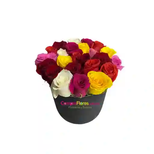 Caja De Rosas Multicolor