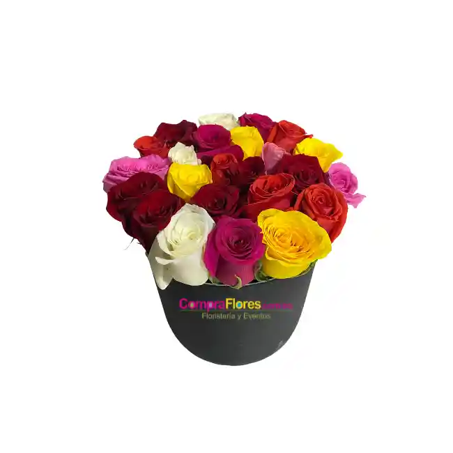 Caja De Rosas Multicolor